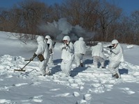 ���� ���������� �����-02