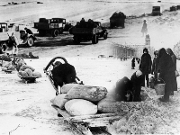 ���� ������ ������� ������ ����������-01