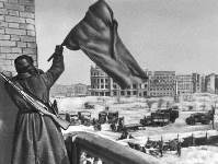 ����������-01