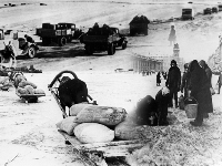 ����������-02